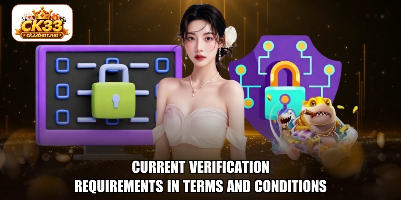 Current verification requirements in terms and conditions