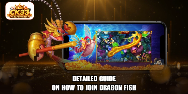 Detailed guide on how to join Dragon Fish