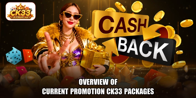 Overview of current Promotion CK33 packages