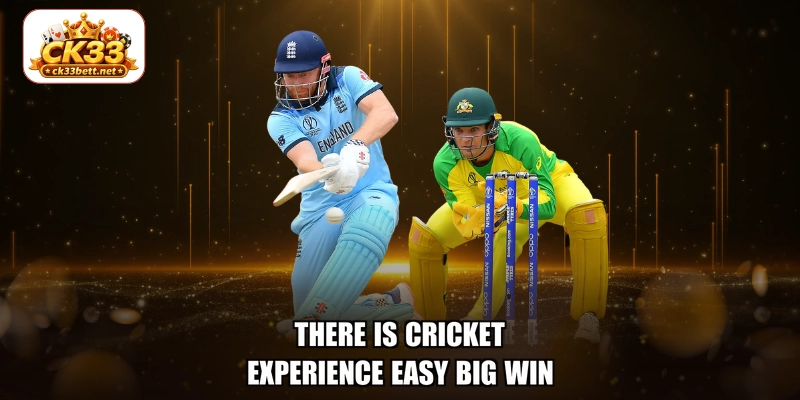 There is Cricket experience easy big win